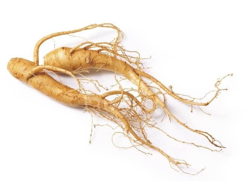 Ginseng improves brain functions